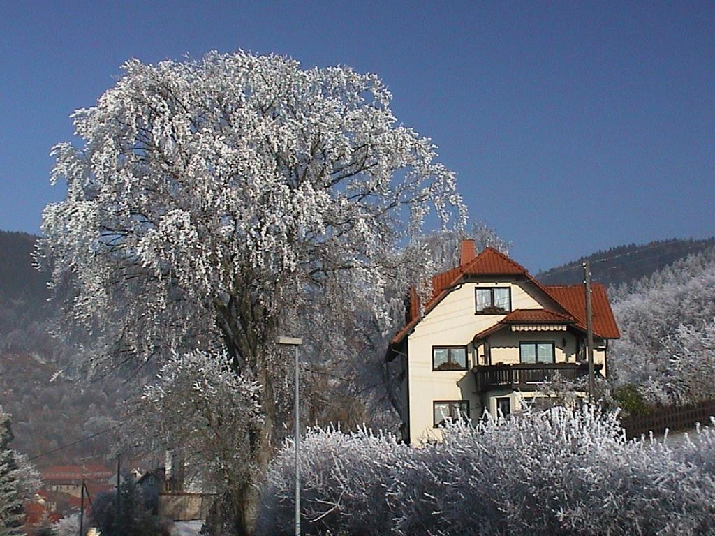 Ferienwohnung Panorama Rauenstein 외부 사진