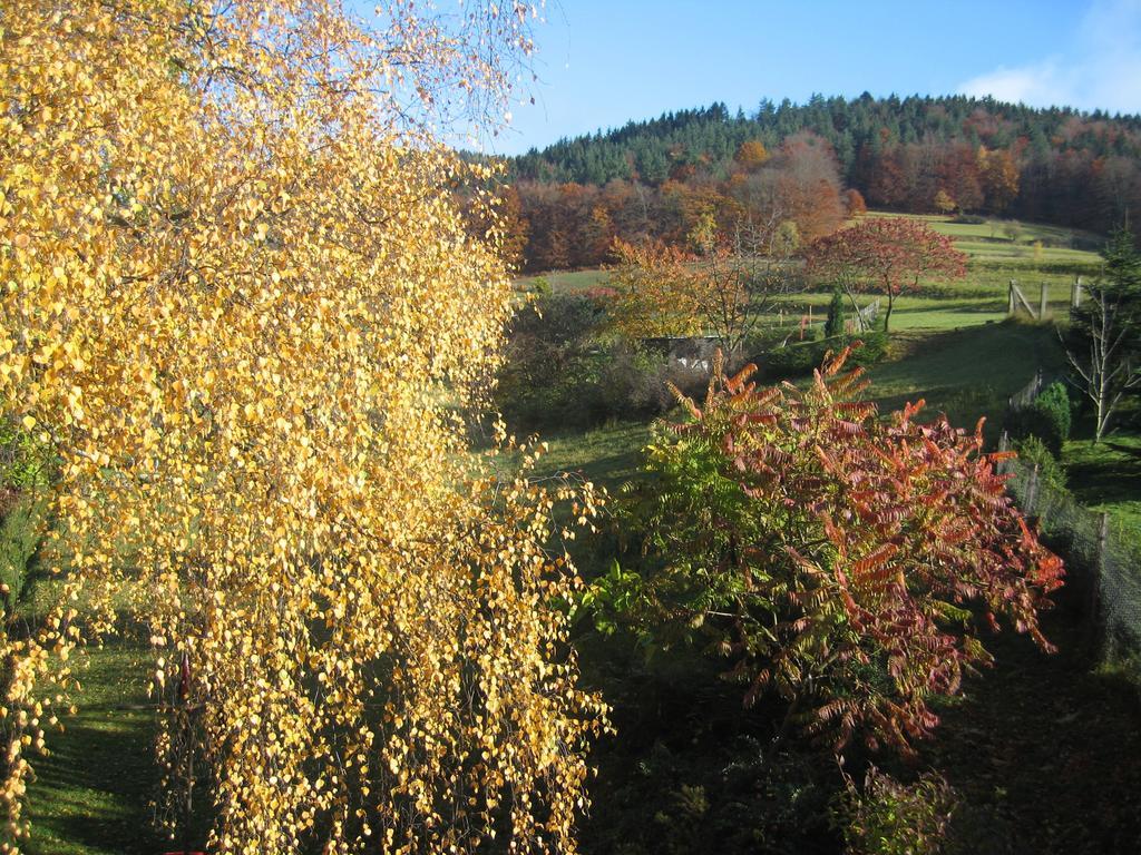 Ferienwohnung Panorama Rauenstein 외부 사진